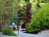 landscape design, outdoor lighting